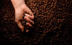 Read more about the article Produtores de café afetados pelo granizo são orientados pela CNA