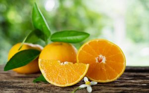 Read more about the article Citros: Produtores de laranja se atentam à abertura de floradas depois das chuvas