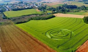 Read more about the article Aliens? Agroglifo misterioso aparece em plantação em Santa Catarina