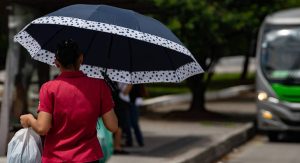 Read more about the article São Paulo tem clima abafado e máxima de 30°C nesta quinta (13)