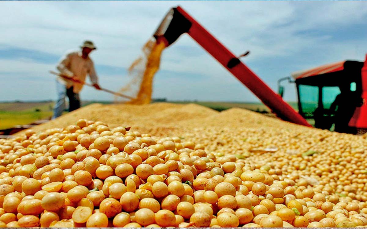 You are currently viewing Estimativa de produção da soja brasileira foi aumentada pela USDA