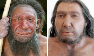 Read more about the article Humanos modernos e neandertais conviveram por 3 mil anos