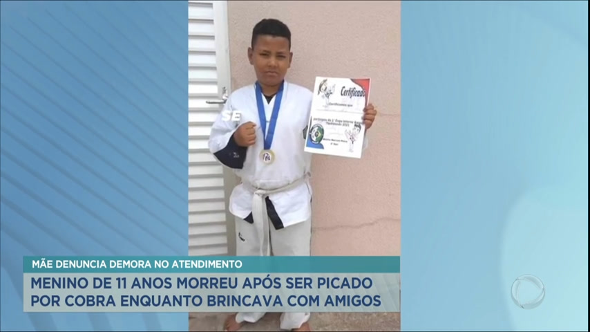 You are currently viewing Menino de 11 anos picado por cobra morre em hospital na Grande SP