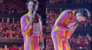 Read more about the article Harry Styles é atingido por garrafa na virilha durante show