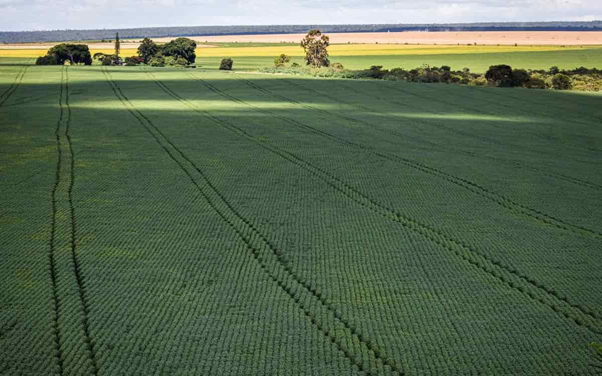 You are currently viewing Produtores querem apresentar a sustentabilidade da agropecuária na COP27