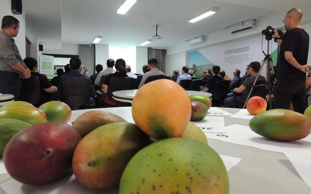 You are currently viewing Frutas e hortaliças para países da OCDE poderão ser certificadas por fiscais do Mapa