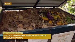 Read more about the article Prática transforma resíduos orgânicos em adubo natural