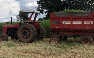 Read more about the article Curso sobre produção de silagem de capim é oferecido pelo Senar