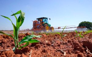 Read more about the article Novos defensivos agrícolas de baixo impacto para controlar as pragas têm registro divulgado