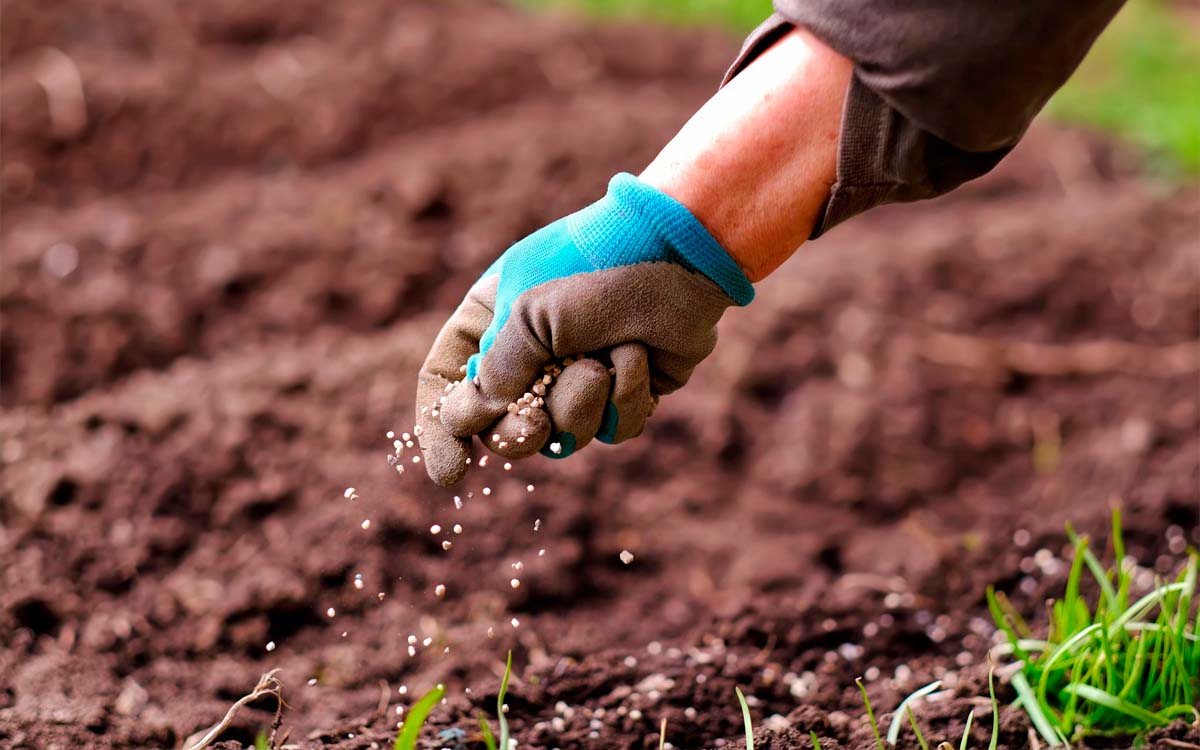 You are currently viewing Importação de fertilizantes deve cair 50% no mês de Outubro