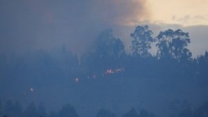 Read more about the article Os últimos oito anos foram os mais quentes da história, diz Organização Meteorológica Mundial