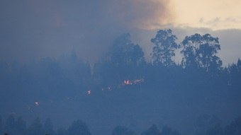 You are currently viewing Os últimos oito anos foram os mais quentes da história, diz Organização Meteorológica Mundial