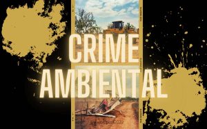 Read more about the article Mulher que cometeu crime ambiental e parcelamento irregular do solo foi presa