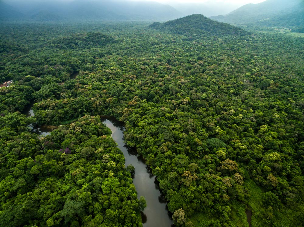 You are currently viewing Brasil, Indonésia e Congo vão criar a ‘Opep das florestas’