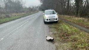 Read more about the article Polícia é chamada para resgatar tartaruga na beira de estrada, mas era um escapamento