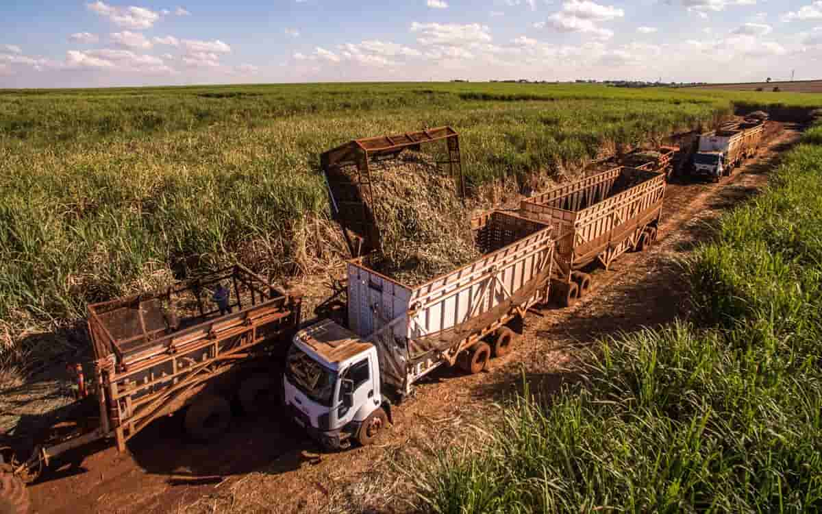 You are currently viewing VBP da agropecuária de GO deve alcançar R$ 106,6 bilhões em 2022