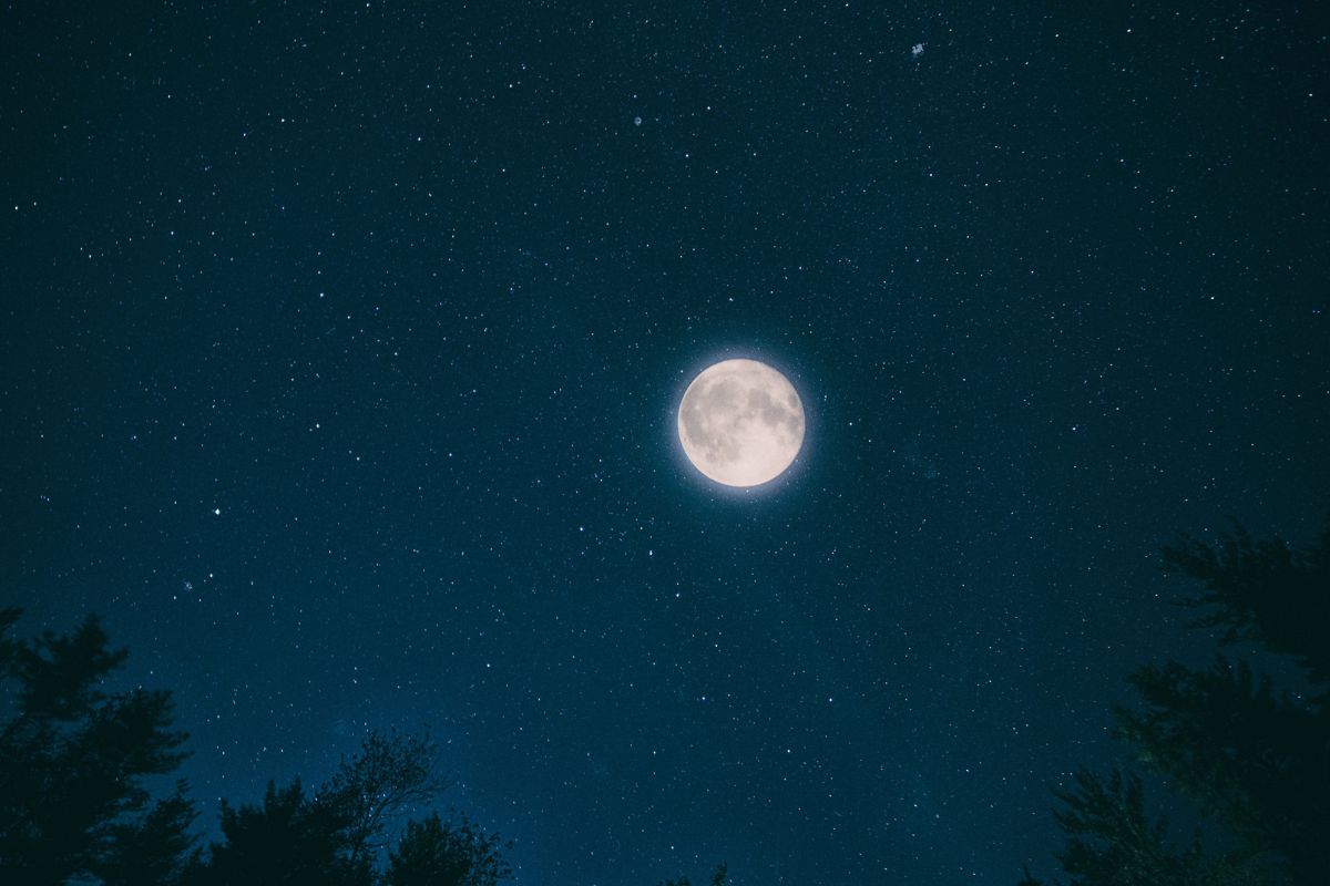 You are currently viewing Humanos vão morar na Lua ainda nesta década, diz Nasa