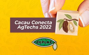 Read more about the article Cacau Conecta Agtechs 2022 tem inscrições abertas até o dia 24 de novembro