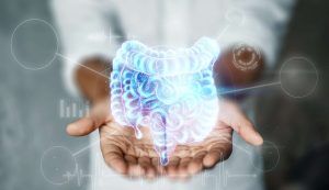 Read more about the article Saúde intestinal: qual a importância e como alcançar?