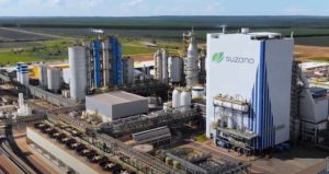 Read more about the article Suzano: gigante do agro Brasileiro amplia investimentos em 2023