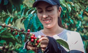 Read more about the article Já pensou ter um pé de café em casa? Aprenda a cultivar!