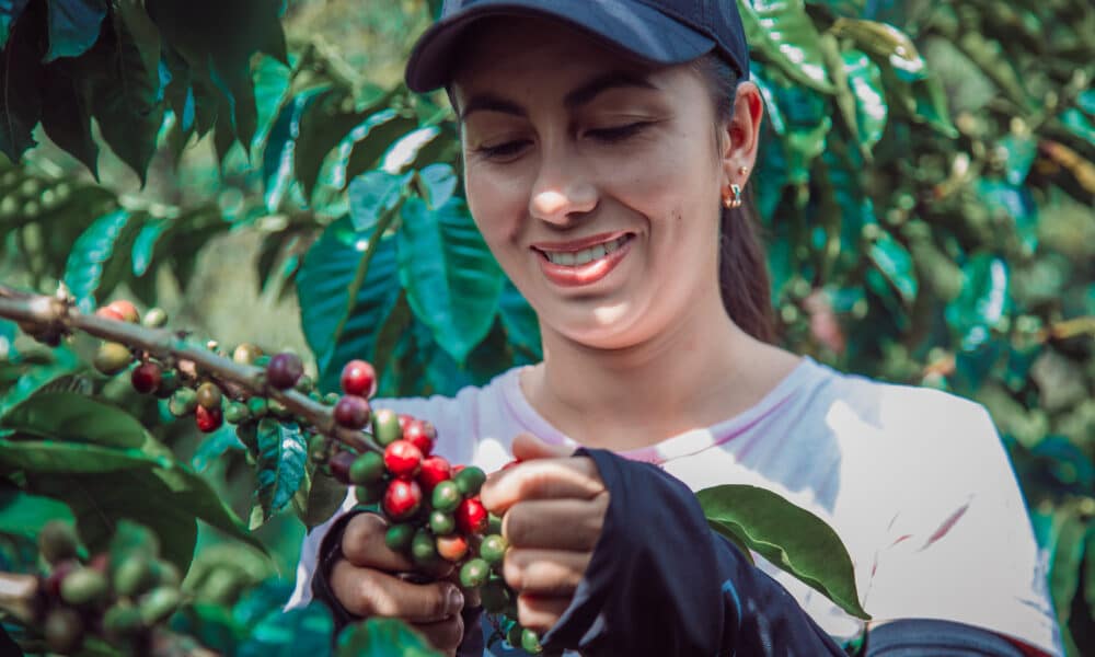 You are currently viewing Já pensou ter um pé de café em casa? Aprenda a cultivar!