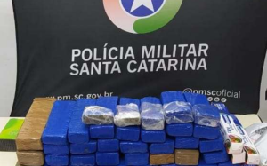 Read more about the article FOTO: Polícia apreende 20 kg de drogas em dois bairros de Blumenau; saiba quais