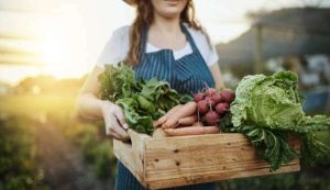 Read more about the article Alimentação e atividades físicas são fatores que contribuem para o aumento da qualidade de vida