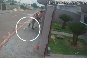 Read more about the article MP apura agressão contra cão gravada em vídeo no interior