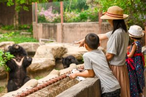 Read more about the article Como a ciência explica os animais extintos que voltaram a aparecer?