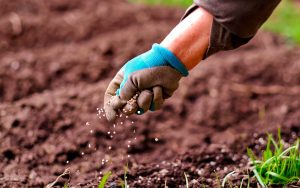 Read more about the article Oportunidades de produção de biofertilizante e energia a partir do biogás foram apresentadas por especialistas