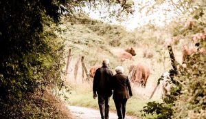 Read more about the article Parkinson e Alzheimer: morar perto de áreas com natureza ajuda a retardar a progressão das doenças