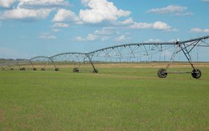 Read more about the article Práticas que diminuem a emissão de gases de efeito estufa no cultivo de arroz irrigado foram desenvolvidas