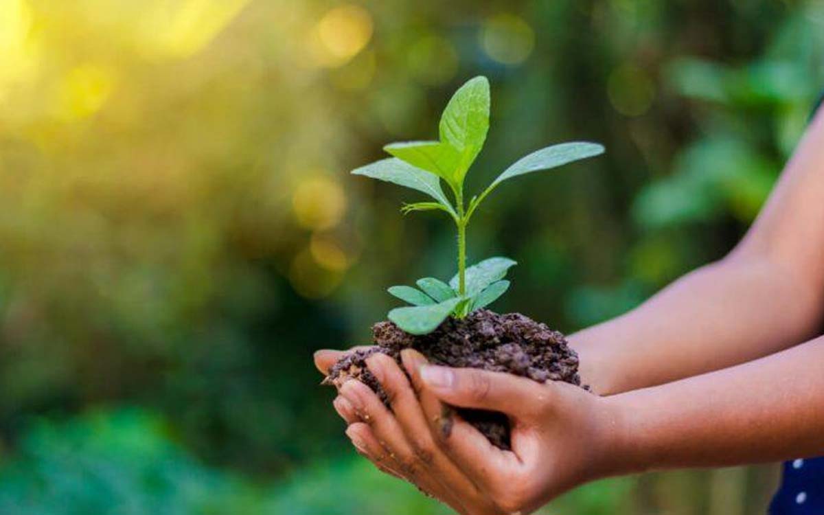 You are currently viewing Programa de Regularização Ambiental tem novas regras de adesão definidas por Medida Provisória