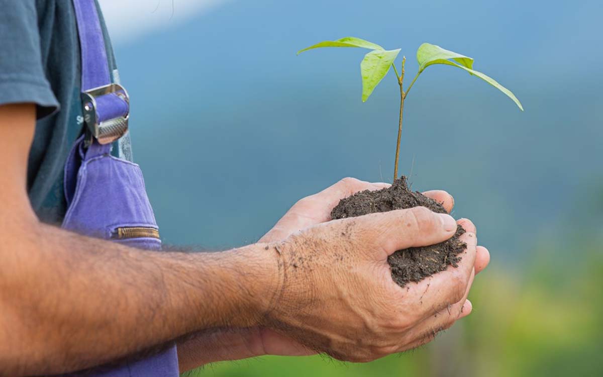 You are currently viewing Empresários capixabas tem linha de crédito de baixo carbono do Bandes como um diferencial