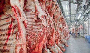 Read more about the article Brasil exporta 1 kg de carne por habitante do planeta