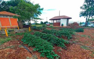 Read more about the article Show Rural Coopavel 2023 tem participação da Embrapa Clima Temperado em vitrine sobre agroecologia