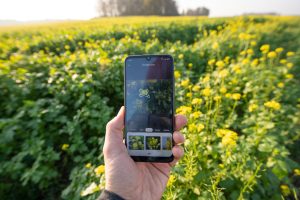 Read more about the article Já viu uma coisa e queria saber o nome dela? O Google Lens pode ajudar