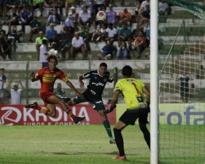 Read more about the article Palmeiras dá show na Copinha e garante classificação para a próxima fase