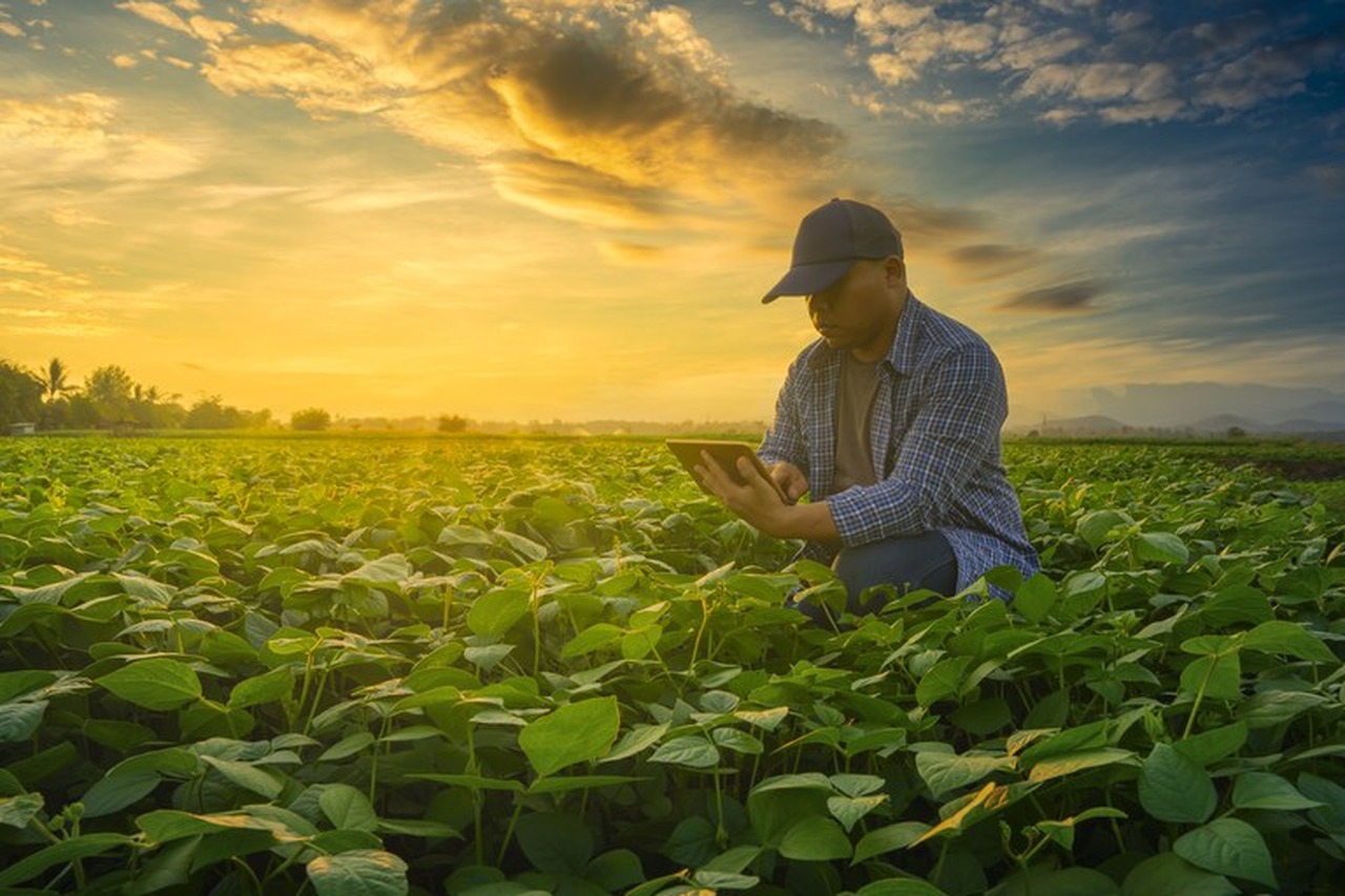 You are currently viewing 5 dicas de marketing para empresas do agronegócio aumentarem as vendas em 2023. Confira!