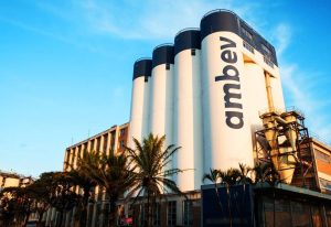 Read more about the article Ambev (ABEV3): volumes domésticos de cerveja devem crescer 5%, dizem analistas