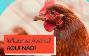 Read more about the article Campanha sobre Influenza Aviária é feita com o objetivo do país continuar livre da doença