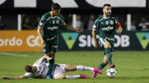 Read more about the article Onde andam os jogadores da última derrota do Palmeiras para o Santos