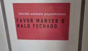 Read more about the article Escorpião amarelo é encontrado em hospital das Clínicas em Belo Horizonte