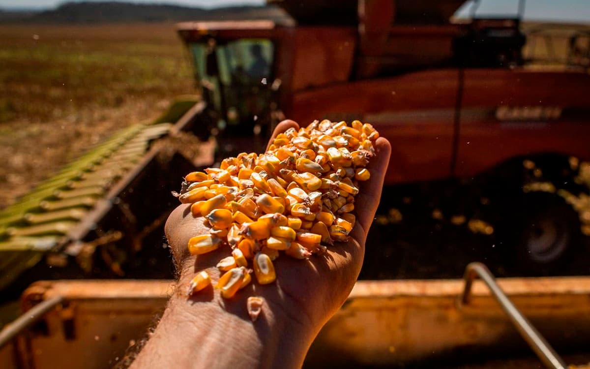 You are currently viewing Aliança Agroeconômica do Centro-Oeste publicou relatório do 4º trimestre de 2022