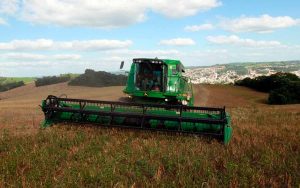 Read more about the article Feijão tem qualidade e colheita beneficiadas pelo clima no PR