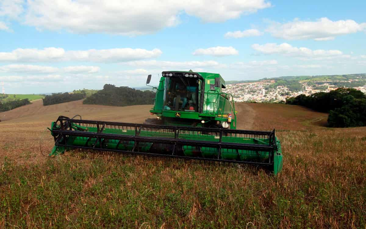 You are currently viewing Feijão tem qualidade e colheita beneficiadas pelo clima no PR