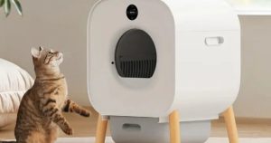 Read more about the article Xiaomi desenvolve caixa de areia inteligente para gatos; limpeza é automática