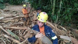 Read more about the article Veja imagens de animais que foram resgatados após as chuvas em São Sebastião