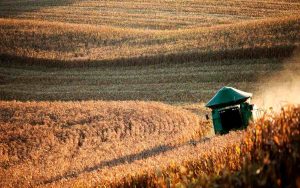 Read more about the article VBP da agropecuária deve chegar a R$ 1.36 trilhão em 2023